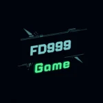FD999 Game
